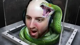 Tectone Reacts to Mr.Beast Face Your Biggest Fear To Win $800,000