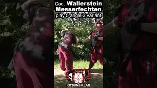 Messerfechten Codex Wallerstein play 5 variant #martialarts #hema #kali