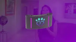 Pet Madness Explainer: Discover Our Exciting New Tech Products for Your Pets. #pets #petmadness