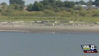 American Falls Reservoir is at 3% full and falling