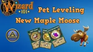 Wizard101 Pet Leveling New Maple Moose #2