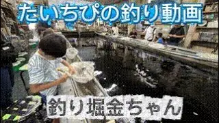 【carp fishing in Japan】タトクと一緒に鯉釣り！【TAICHIPI】