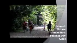 Morrell Nature Sanctuary Summer Camp