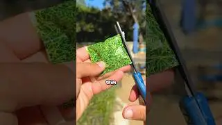 как выглядят САМЫЕ СТРАННЫЕ СКИТТЛС :]