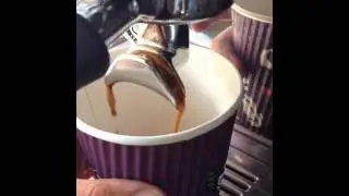 What Goes Into Your Morning Muzz Buzz