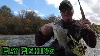 Oklahoma's Best Kept Secret: Fly Fishing On The Lower Illinois River