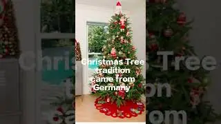 #shorts #germany #amazingfacts #university #christmas tree#first magazine #carry on Jaanya