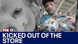 Man kicked out of store over service dogs | FOX 13 Seattle