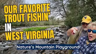 Trout Fishing West Virginia: The Hidden Gem of the East