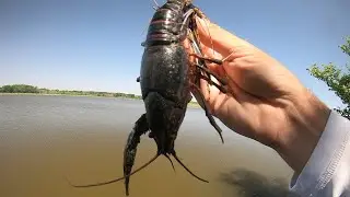 Is this the BEST JIG TRAILER EVER?? (GIANT BASS)