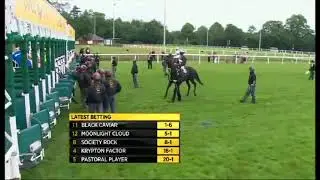 FUNNY HORSE RACE NAMES