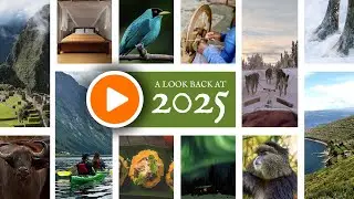 Where We Traveled in 2025 (Norway, Tanzania, Alaska,, Argentina, Rwanda, Costa Rica)