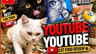 Cats + Wanpy Dry food Taste Test #youtube #catfood #explore 