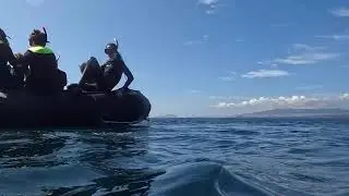 Rabida Island  Gal&aring;pagos Archipelago January 2023