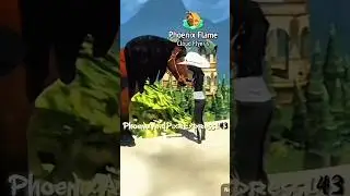 Bay Friesian Pegasus Edit❤️🫶#hrt#pegasus#friesian#edit