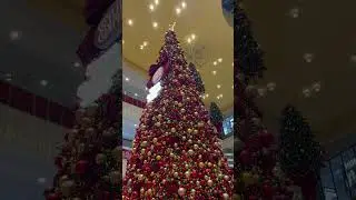 SM BF&hellip;.Merry christmas 2025