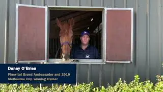 Danny O'Brien EQ10