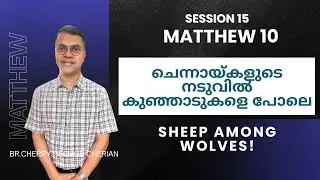 Matthew 10 | SESSION 15 | SHEEP AMONG WOLVES | Cherry George Cherian