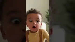 Gentle Calm Meets Unexpected Noise😮#PureReaction #FamilyLaughs #CuteScene #InstantFear #WatchTillEnd