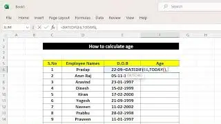 How to calculate Age using Excel
