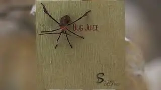 Bug Juice    Orchestral Through Composed Piece