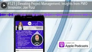 #121 | Elevating Project Management: Insights from PMO Innovator, Joe Pusz