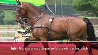 Zilco Brand Video