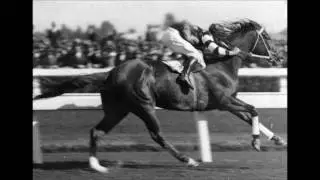 Kevin Shegog - Phar Lap - The Red Terror