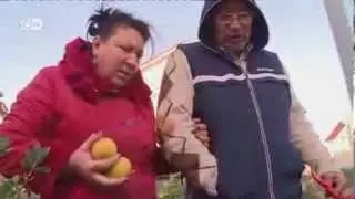 Olimpiada w Soczi. Ekologiczna katastrofa?