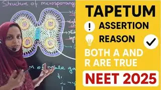 🧪 NEET 2025 Question Solved | Tapetum Function & Microspore Mother Cells| Assertion Reason Explained