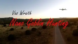 Vas Wraith Nano Goblin Hunting