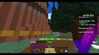 Woods Race in 18 Seconds