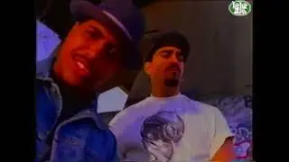 Mellow Man Ace 