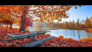 Maniva in autunno /fpv hub, long range fpv