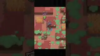 Pls no team #noteaming#noteam#brawlstars#brawl#viral
