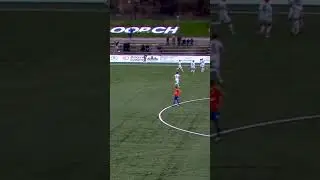 Bro had absolutely no chill 🥶 #lowerleagues #swissfootball #redsport #redfc