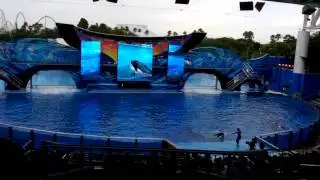 Apresentação Orcas Shamu SeaWorld Orlando 22/07/12