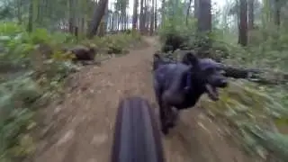 GoPro- Ari Dog Mountain Biking
