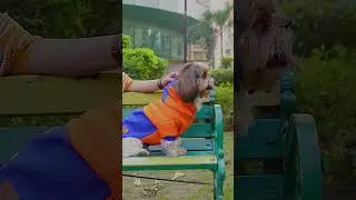 Go grab the Pawgy Pets Winter Collection LIVE NOW!!