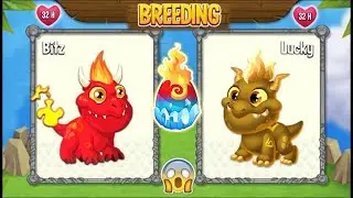 NEW BREEDING: Flaming Rock Dragon & Terra Dragon | Dragon City 2019 😱