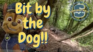 Seniors on E - Bit by the Dog!!