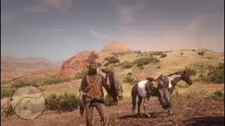Red Dead Online - Californian Condor Location!