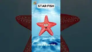 Sea animals name PART 2 vocabulary song | Kids vocabulary | Learn with smile