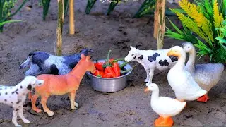 🔴cow videos funny, horses, mini tractor, cattle, dog, cow cartoon video, Aug 30, 20259:10 AM