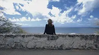 Woman Looking At The Horizon Creative Commons Video 4k HD Quality