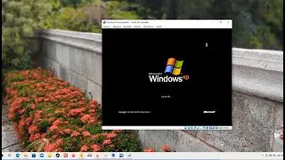 Virtual Box Windows XP Instalação
