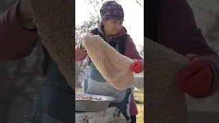 This is How Tripe is Made!