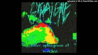 SPHAIGNE - HARSH MOSS WALL - PART 4: INTER SPHAGNUM ET SCORTEA