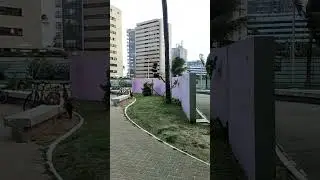 Cat Leap in Brazil Parkour