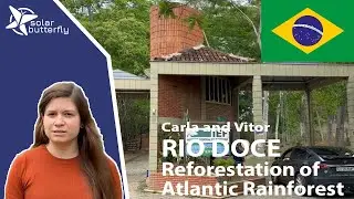 RIO DOCE -Reforestation of the Atlantic Rainforest